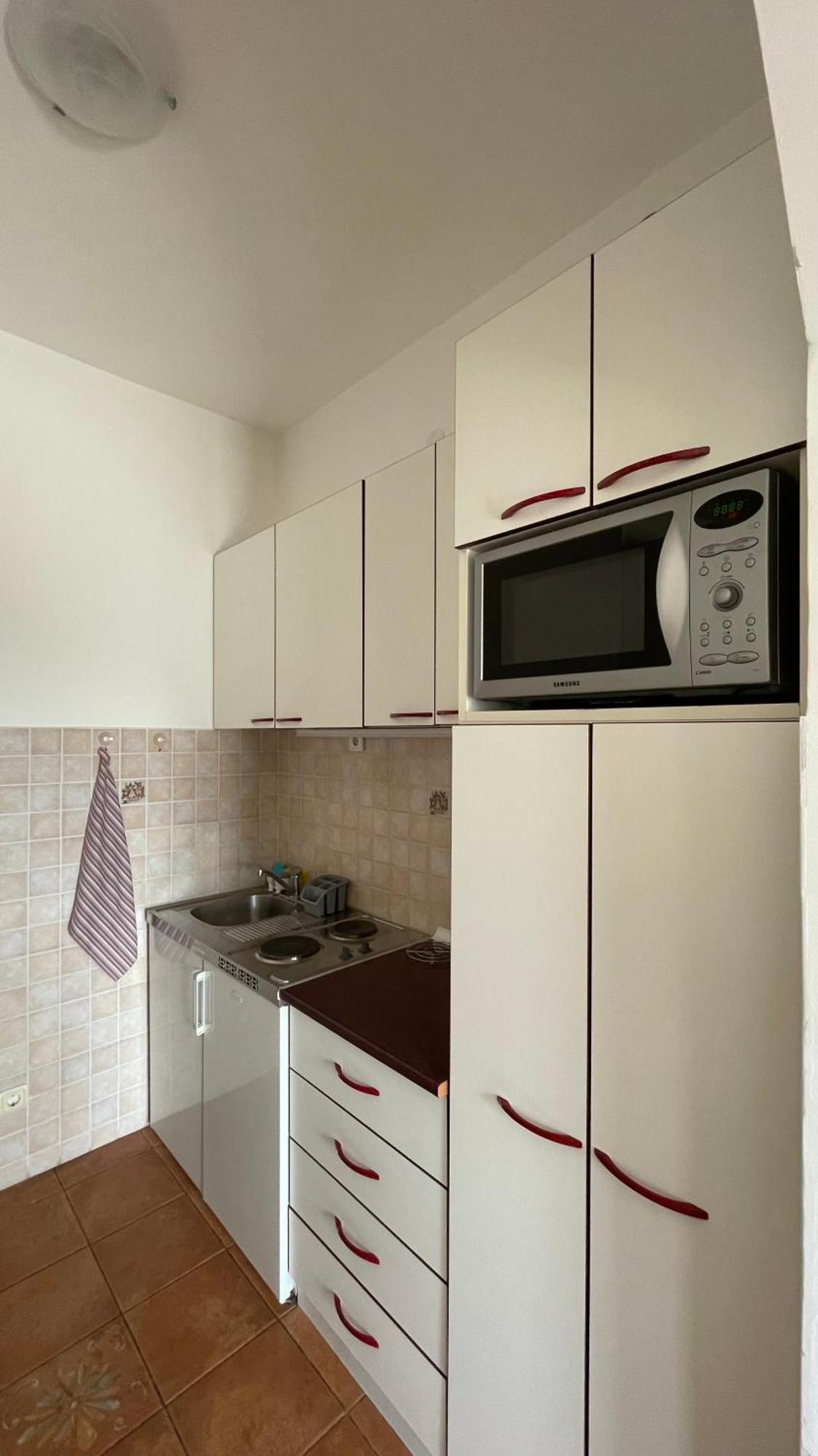 Apartment Tatjana Petrovac Bagian luar foto